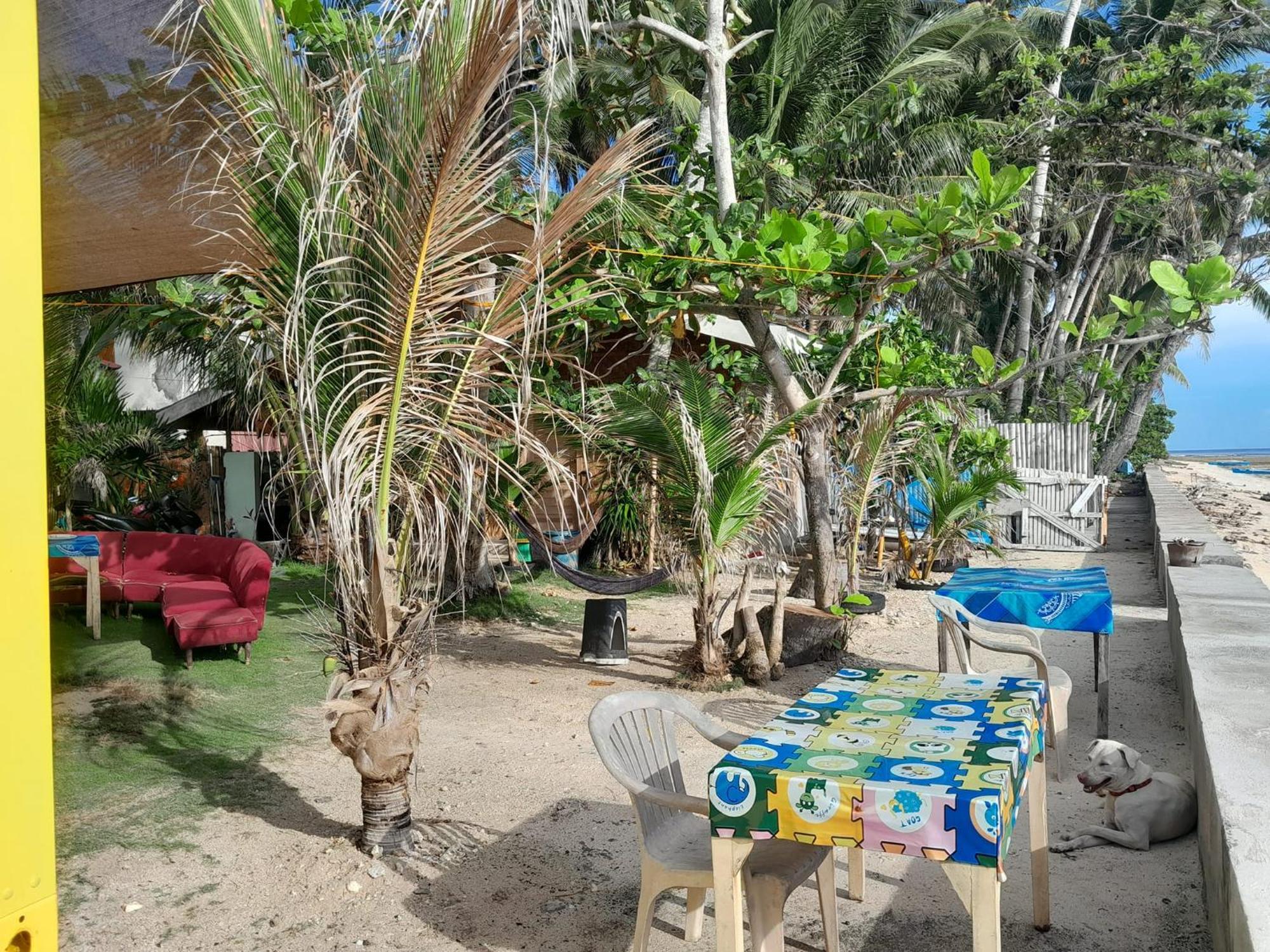 סיקיהור Enrico'S Guesthouse מראה חיצוני תמונה